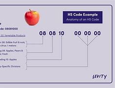 Hs Code Pohon Pisang